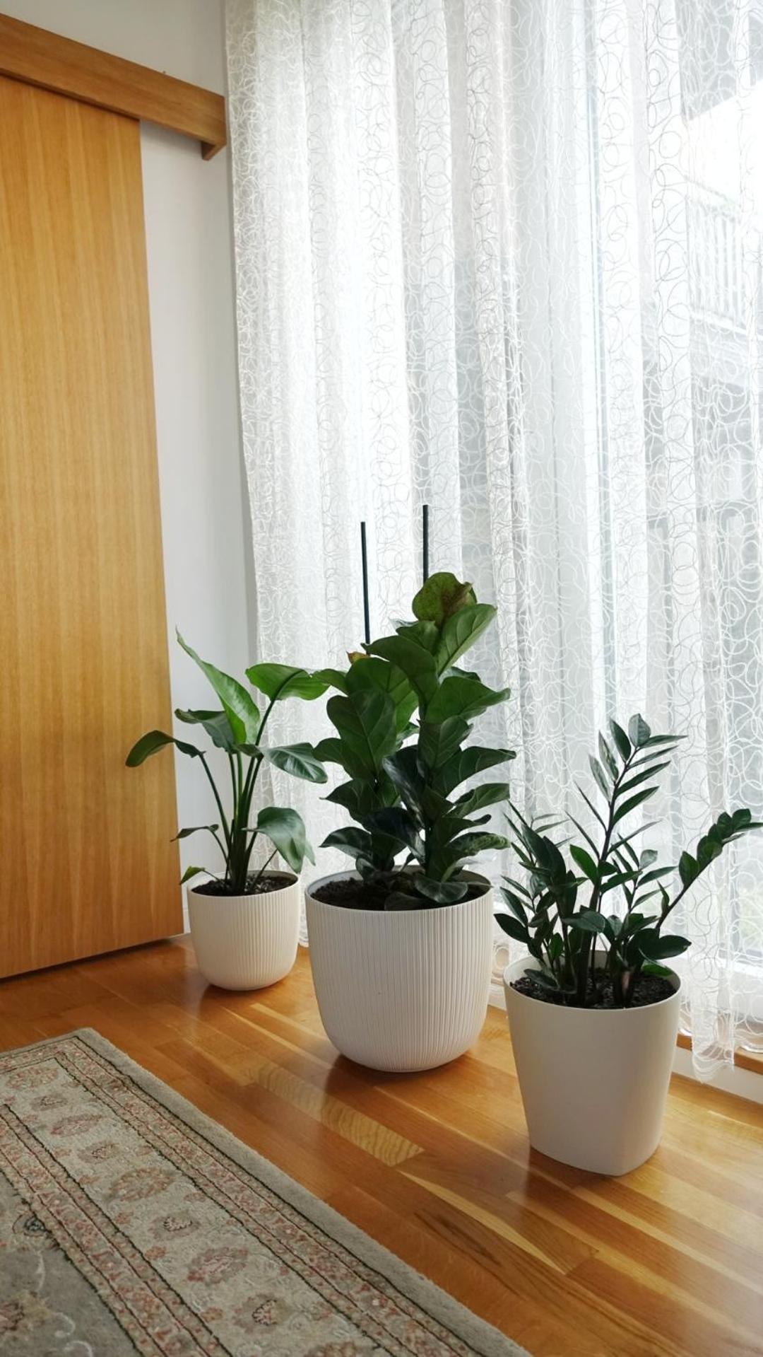 Jc10 Apartment 3 Bedroom, Free Parking, 73Sqm Novi Sad Bagian luar foto